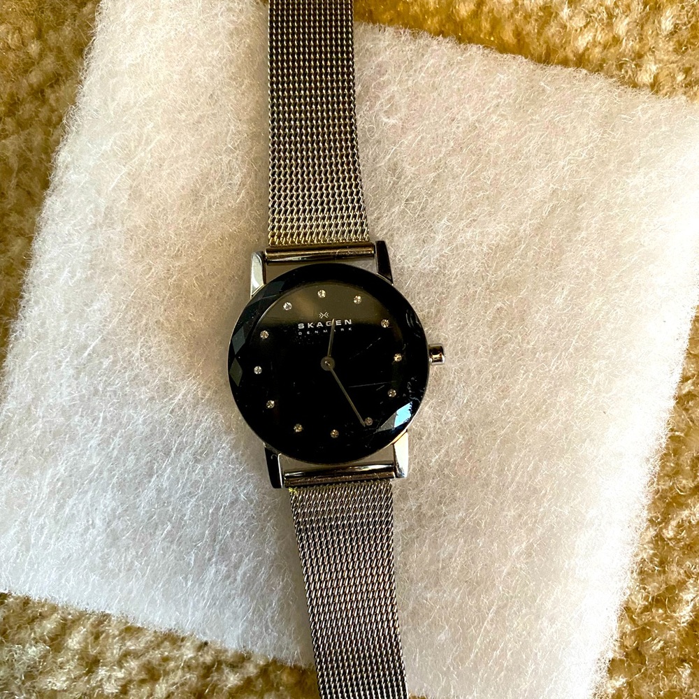 Skagen/ Kattegat ladies mesh band watch 8 inch